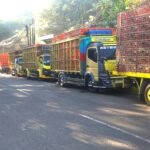Diduga ada oknum yang “membekingi”, parkir liar truk ayam terkesan bebas melanggar aturan lalu lintas di Jalan Raya Barat Wanayasa, Purwakarta.