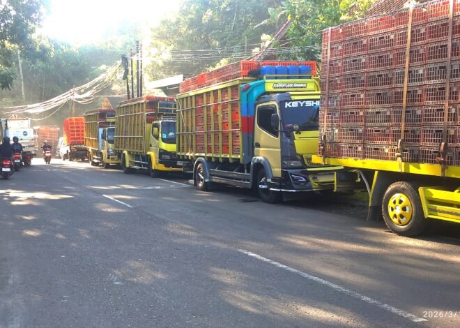 Diduga ada oknum yang “membekingi”, parkir liar truk ayam terkesan bebas melanggar aturan lalu lintas di Jalan Raya Barat Wanayasa, Purwakarta.