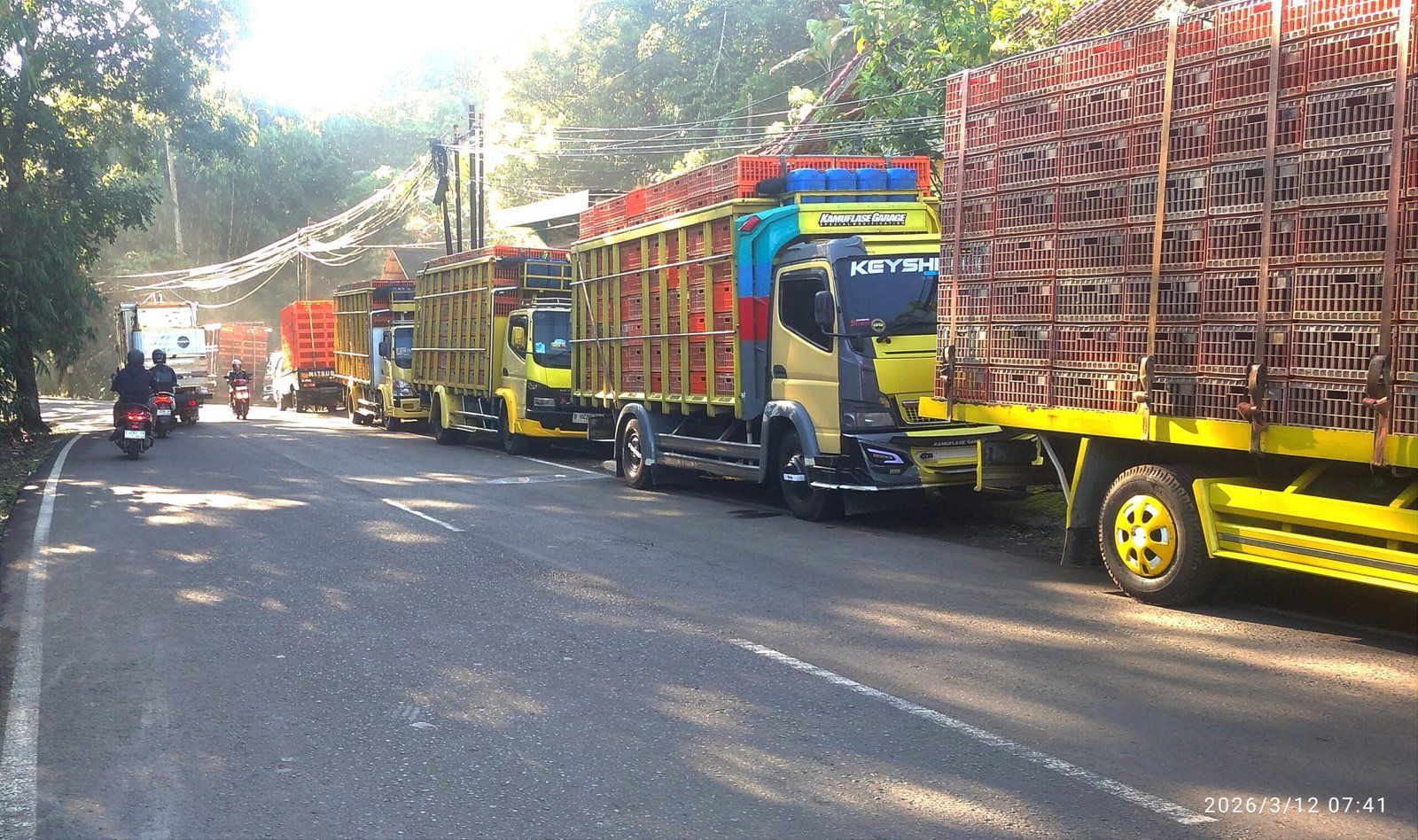 Diduga ada oknum yang “membekingi”, parkir liar truk ayam terkesan bebas melanggar aturan lalu lintas di Jalan Raya Barat Wanayasa, Purwakarta.